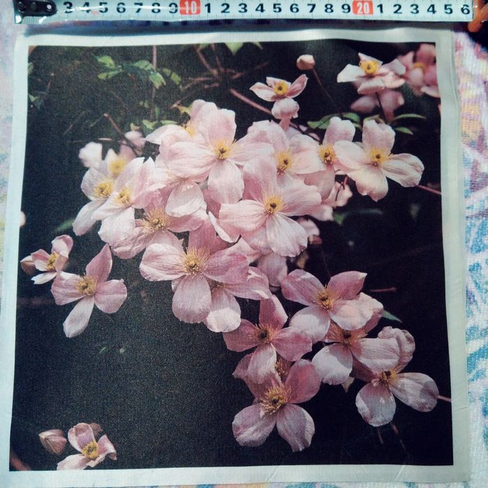 Нов комплект-ръкохватка, ръкавица , кърпа100% памук и шпатула за торта