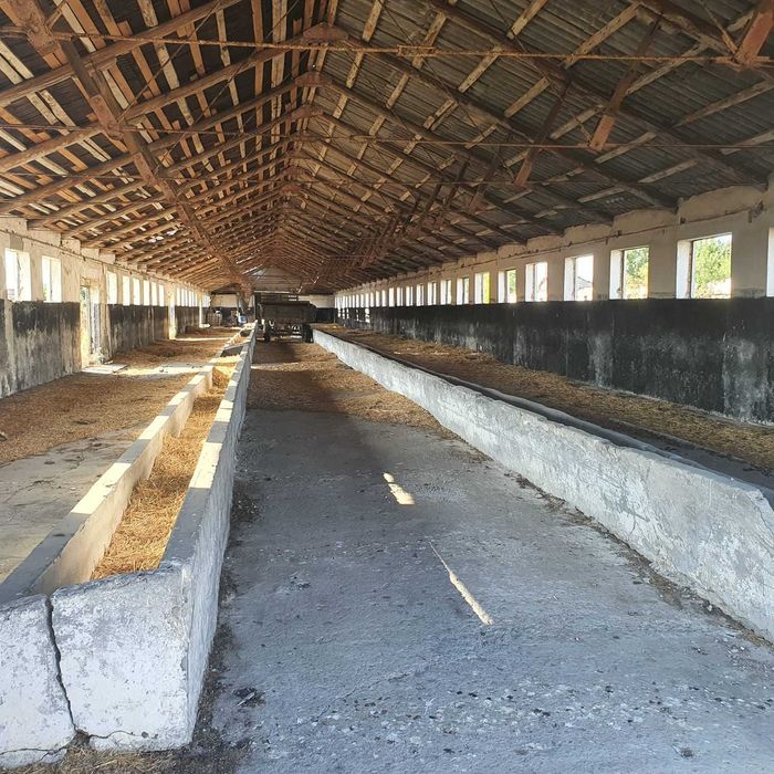 Ferma agricola,de vanzare