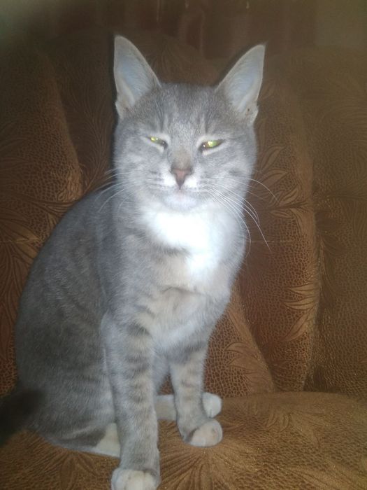 Bir oshiq onlayn erining oldida xotinining ichiga kirsa.