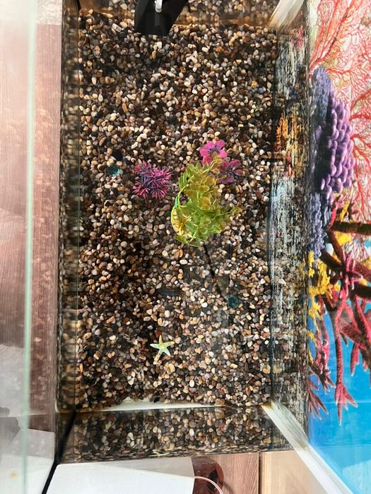 Продадется аквариум