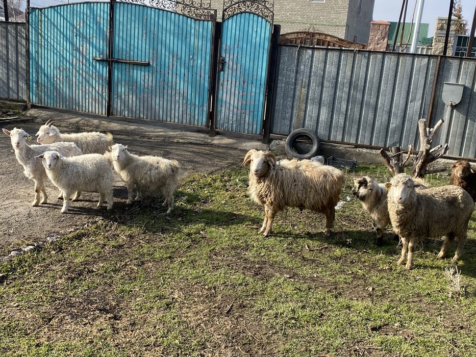 Срочно нужны деньги