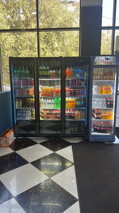 Холодильники дрехдверные