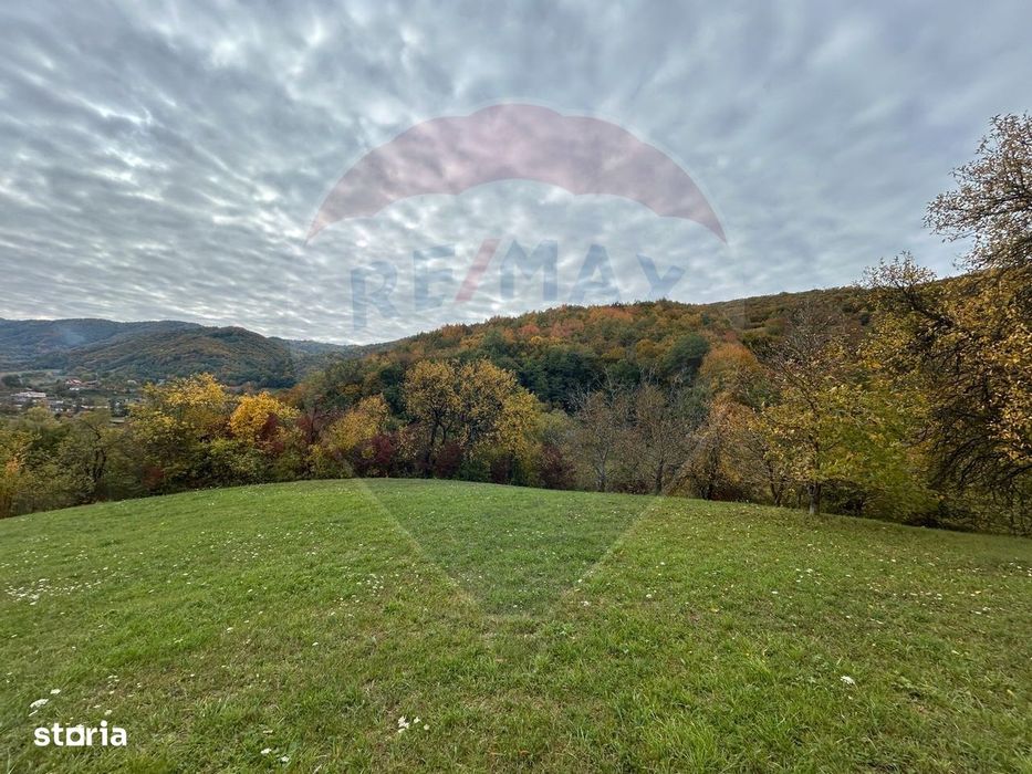 Teren 2,000mp Copalnic-Manastur / Strada Principala