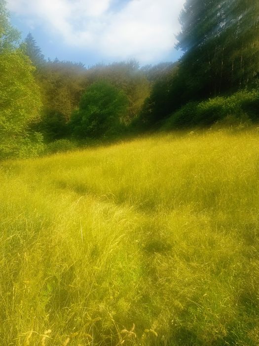 Продава се Парцел в Смолян, Стар център - 6800 кв.м за 29 €/кв.м - Снимка #2