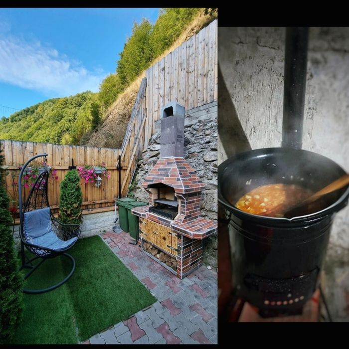 Cabana la munte cu piscina jacuzzi