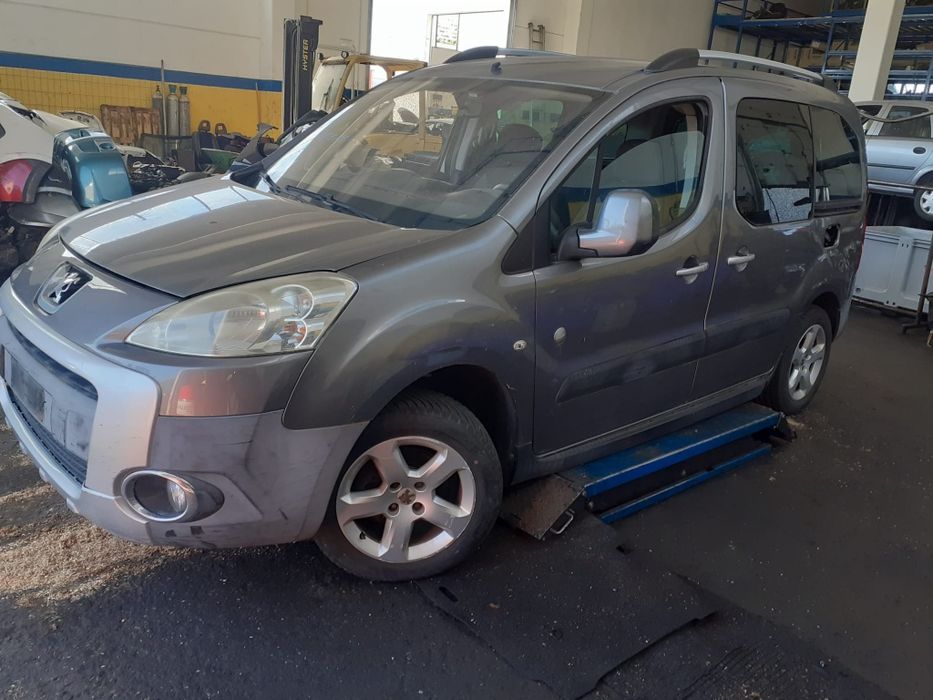 Piese Peugeot partner 2009