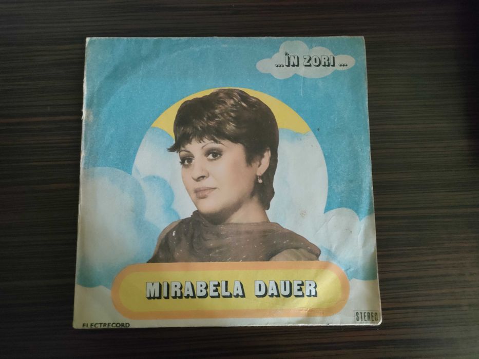 Lot de cărți + discuri vinil