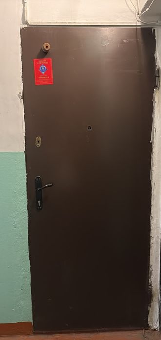 Дверь метталическая