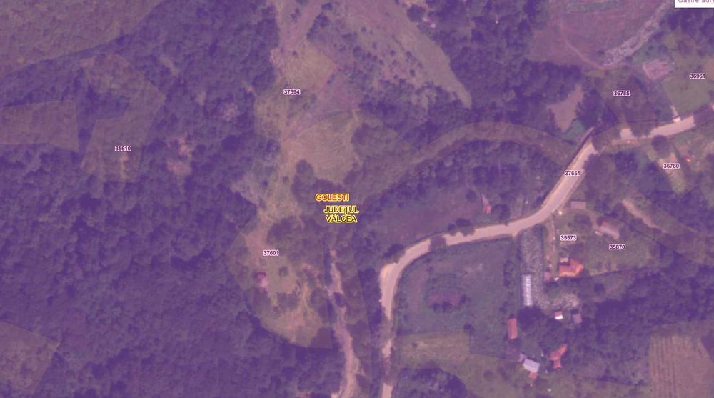 Teren de vis la munte – 7.795 mp – construibil – pârâu, pădure, fără vecini – Vâlcea