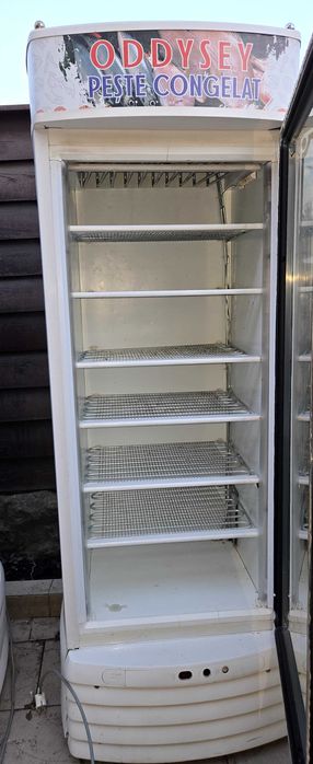 Vitrina frigorifica congelare verticala o usa