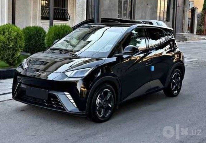 Arenda  BYD.  Sigull   2025 Toza