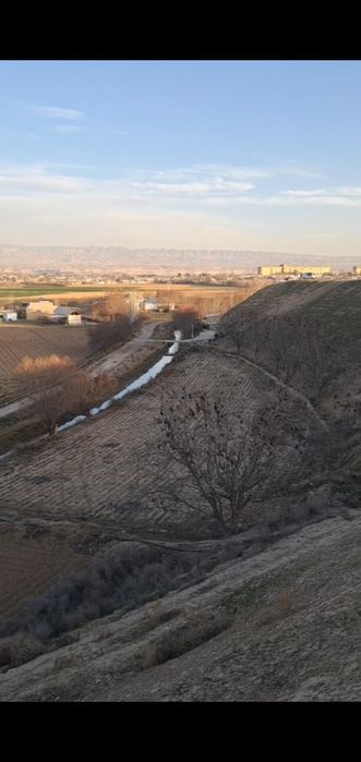 Tomorqa  12 sotixi sotiladi