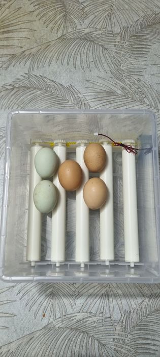 Inkubator Sotiladi 16 talik Avtomat