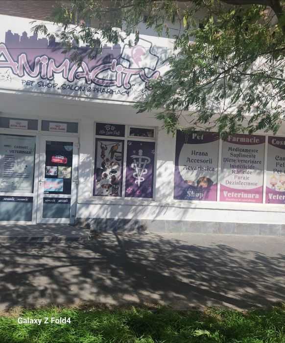 Vând /închiriez spațiu comercial