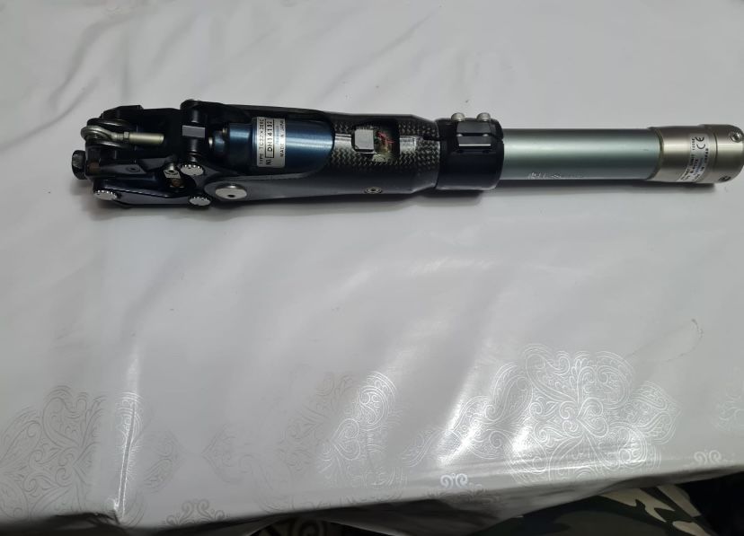 Коленный модуль, Японский