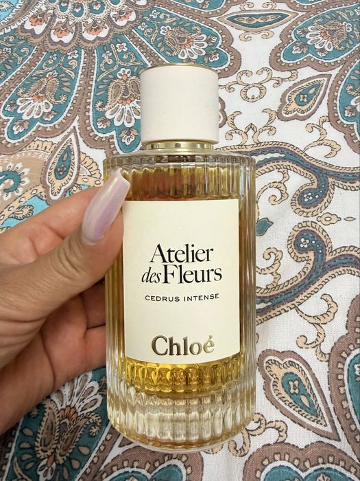 Chloe “Cedrus Intense”