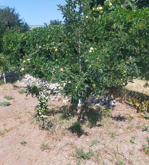 Дом,  посёлок  Актас