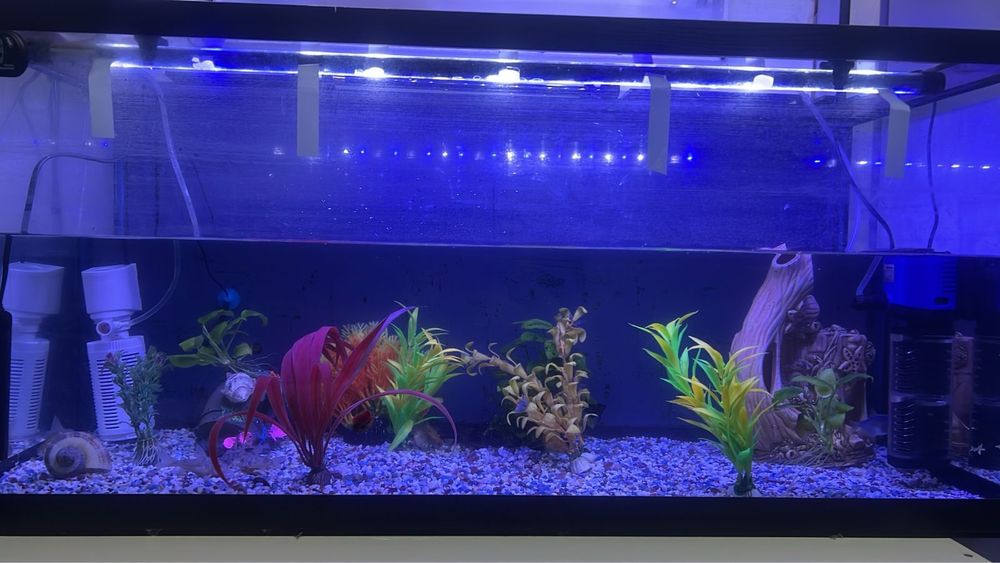 Аквариум на 150 л