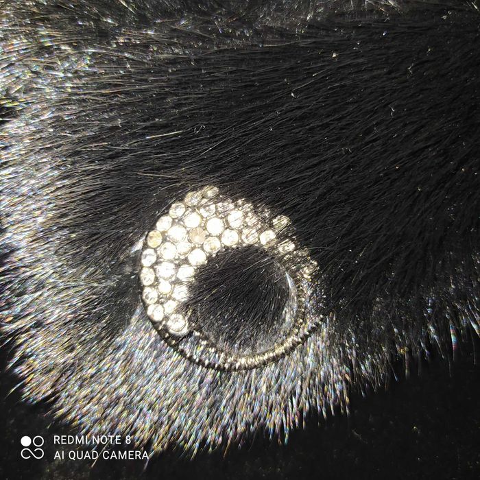 Продам шубу мутон