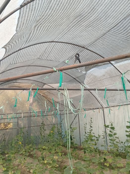 2 sotixli parnik sotiladi