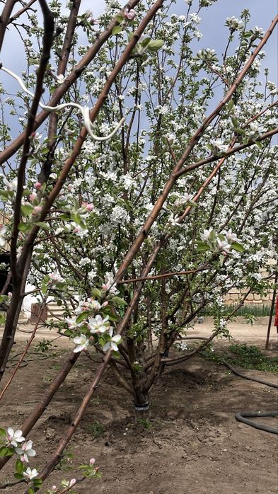 Продам дом в пос. Круглоозерное