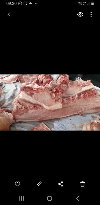 Продам  свинину  .