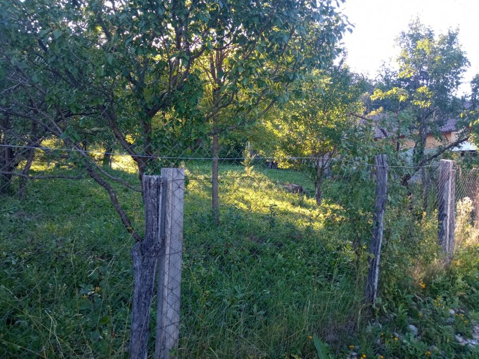 Teren intravilan 1000 mp