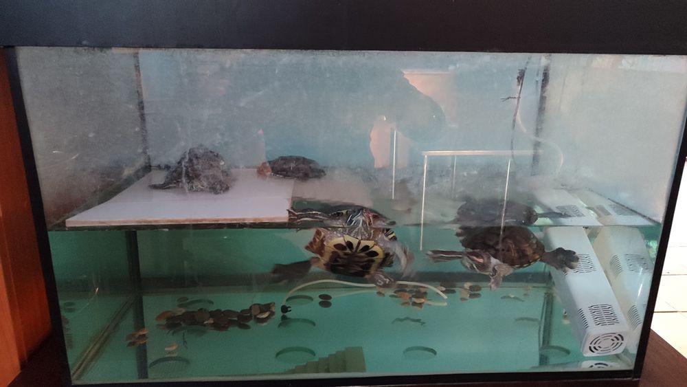 Продам аквариум для рыбок!