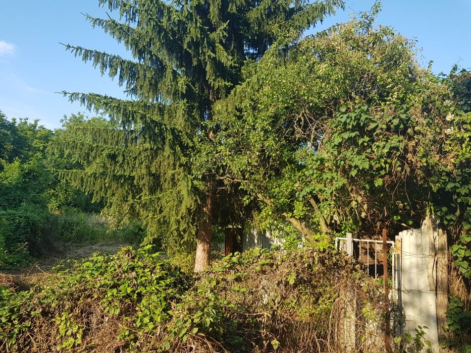 Продава се Парцел в Русе, Център - 1000 кв.м за 21 €/кв.м - Снимка #2