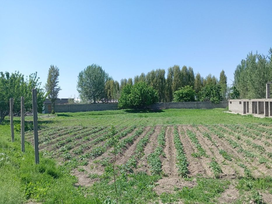 srochni 24 sotx 2 xonali xovli sotladi