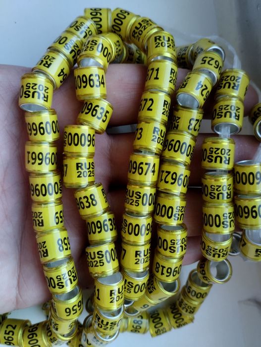 Кольца для голубей 2025