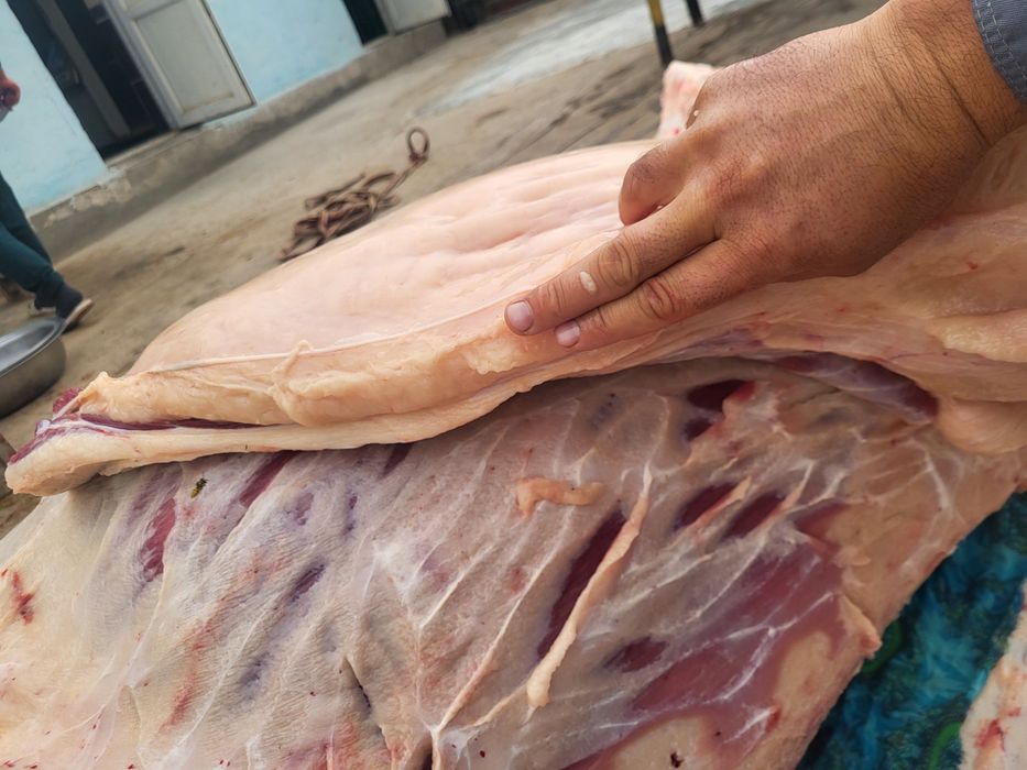 Халал таза жілік