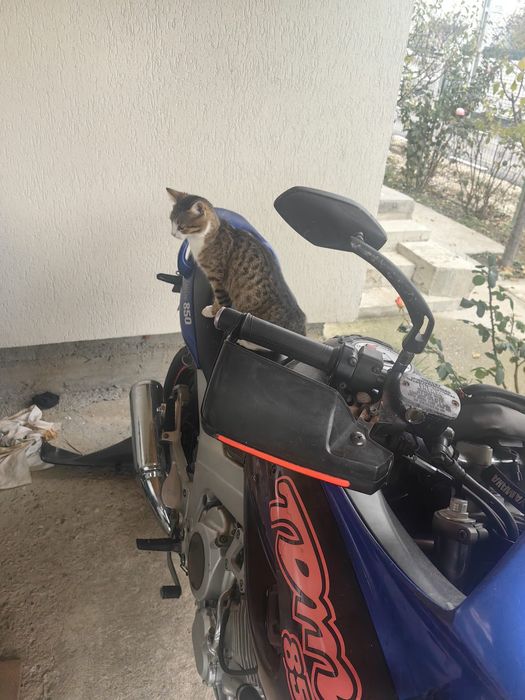 motocicleta yamaha tdm 850 vand/schimb