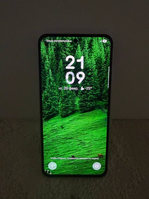 Samsung Galaxy A55 5G