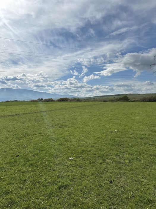 Teren extravilan de vanzare -Islazul Talmaciului 2300 mp