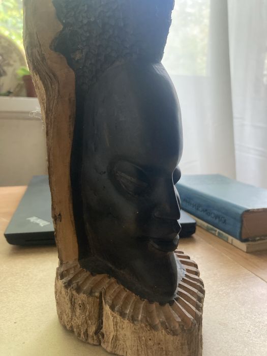 Абанос Африка Дърво