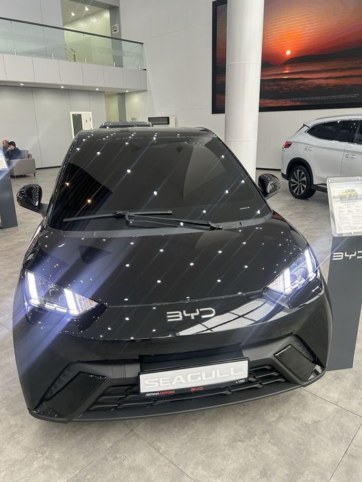 BYD SEAGULL 405 KM Flying 2025 от официального  ДИЛЕРА BYD ROHAT