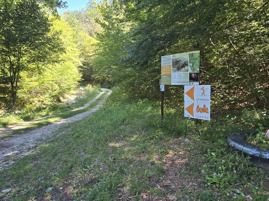 Vind loc cabana 800 mp teren intravilan Rosia zona .Valea Dâlbii.