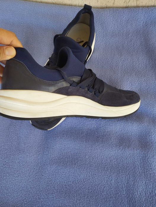 Fin Comfort, Gabor, Kennel & Shemenger и Bär номер 42.