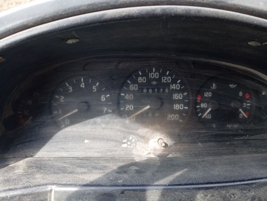 Gazel bortli holati yaxshi