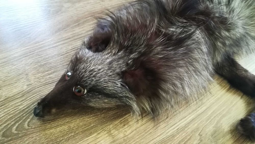 Яка и шапка от лисица