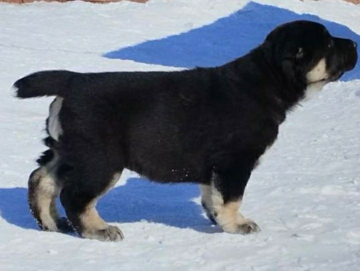 Мария Семкина порно видео