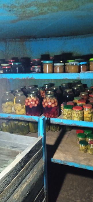 Продается дом в сортировке