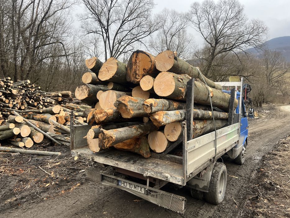 Lemn de foc Fag 3.6 cub