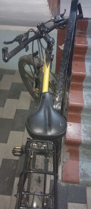 Velomax kattalar uchun.