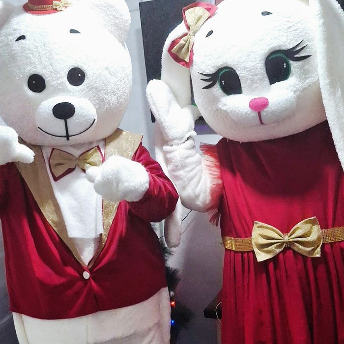 Мишки Тедди прокат костюмов