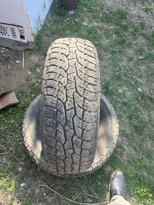 Шины ат все сизоный