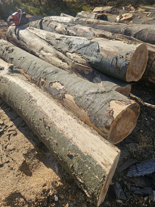 Lemn de foc! Esenta fag!