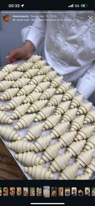 Действующий бизнес