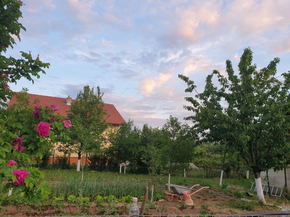 Vând-schimb casă solida din caramida+600 m2 grădină